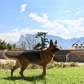 Urlaub-mit-Hund: Herzlich Willkommen im Hotel Bemelmans-Post auf dem Ritten, im Herzen von Südtirol! Maxi und Familie Senn mit Mitarbeitern freuen sich über Ihren Besuch! - Hotel Bemelmans-Post