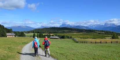 Hundehotel - Doggies: 3 Doggies - Wandern auf der Villanderer Alm  - Sambergerhof