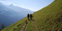 Hundehotel - Trentino-Südtirol - Activ Resort BAMBOO