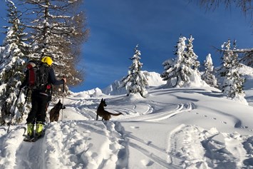 Urlaub-mit-Hund: Skitour mit unseren beiden Hunden - Hotel Steinhauswirt