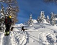 Urlaub-mit-Hund: Skitour mit unseren beiden Hunden - Hotel Steinhauswirt