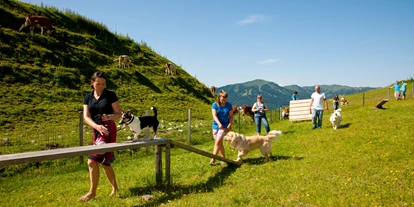 Hundehotel - WLAN - Berchtesgaden - Unser Eingezäunter Hundebereich mit diversen Aktivitäten - Arthurhaus