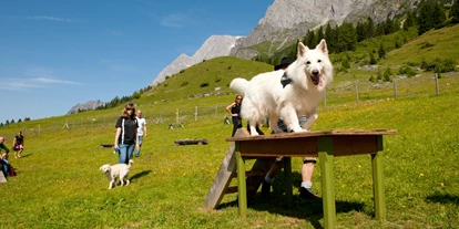Hundehotel - WLAN - Berchtesgaden - Unser Eingezäunter Hundebereich mit diversen Aktivitäten - Arthurhaus