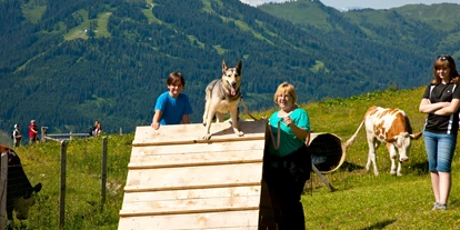 Hundehotel - WLAN - Berchtesgaden - Unser Eingezäunter Hundebereich mit diversen Aktivitäten - Arthurhaus