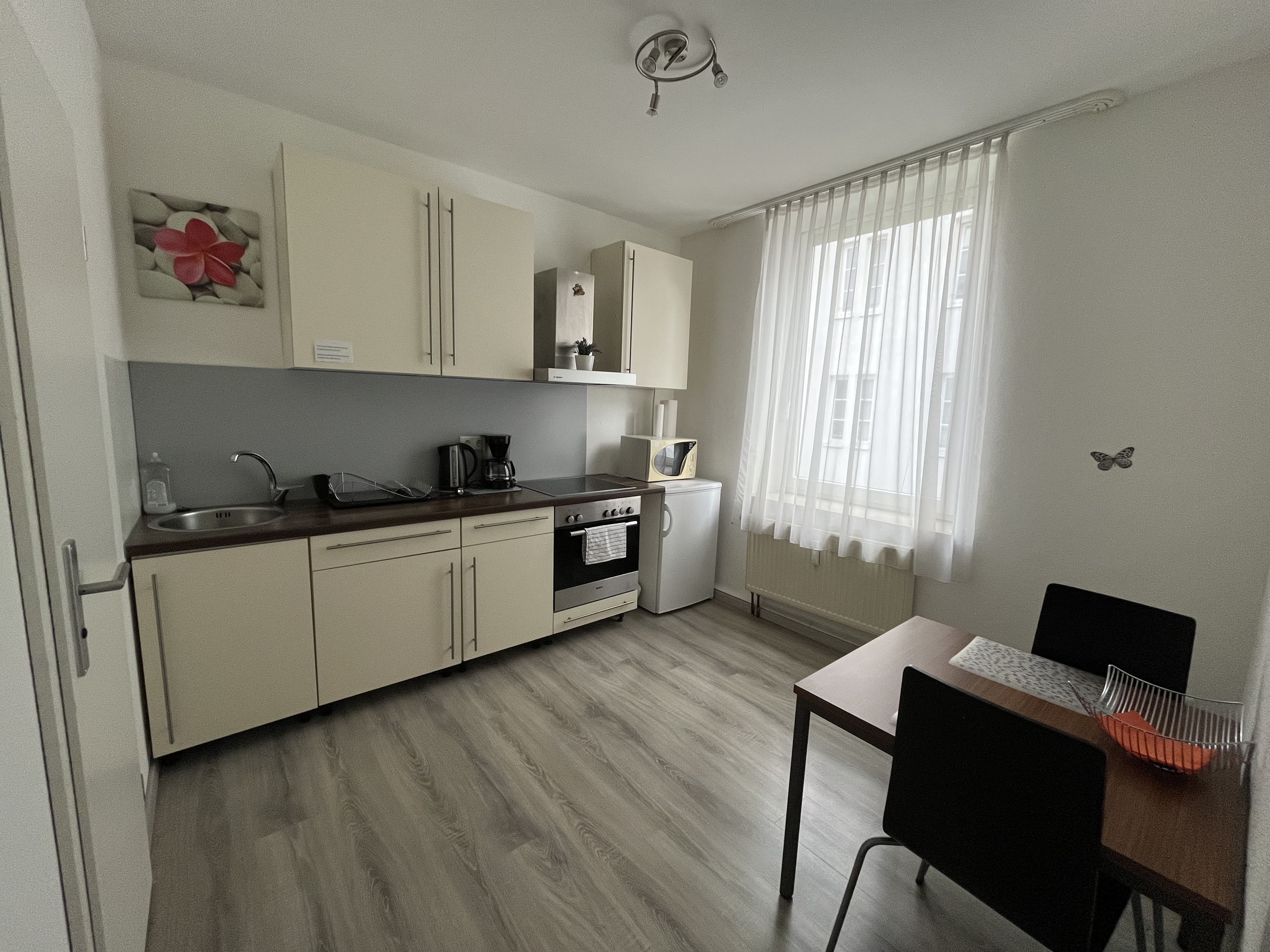 Hundehotel - Deutschland - Einzimmerapartment - Küche - Aparthotel & Pension Belo Sono