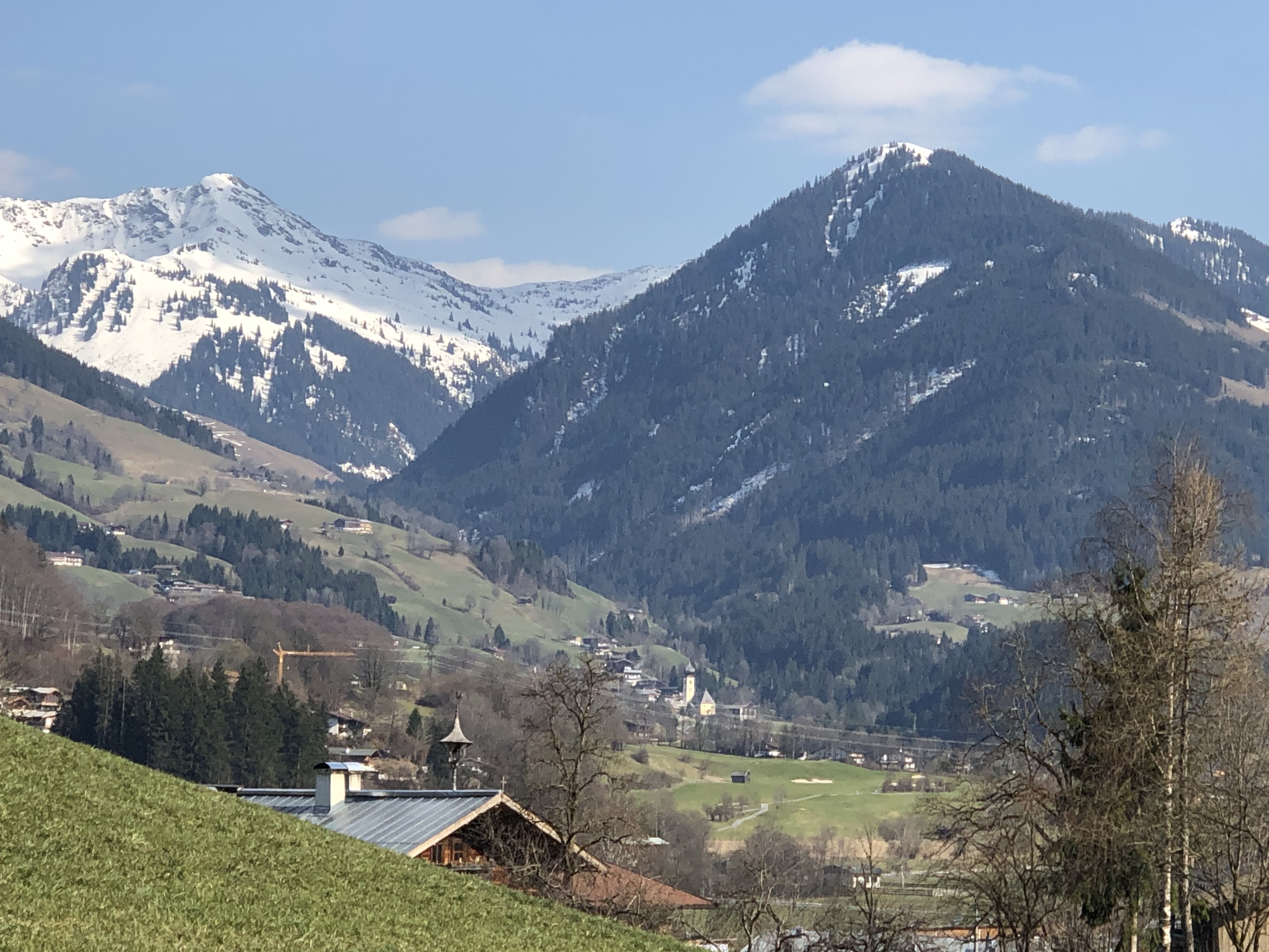 Q! Hotel Maria Theresia Kitzbühel Ausflüge mit Hund Wildpark