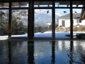 Ferienhaus mit Hund: Sicht aus dem Schwimmbad durch das Panoramafenster auf die schneebedeckten Berge - Moser Ferienhäuser