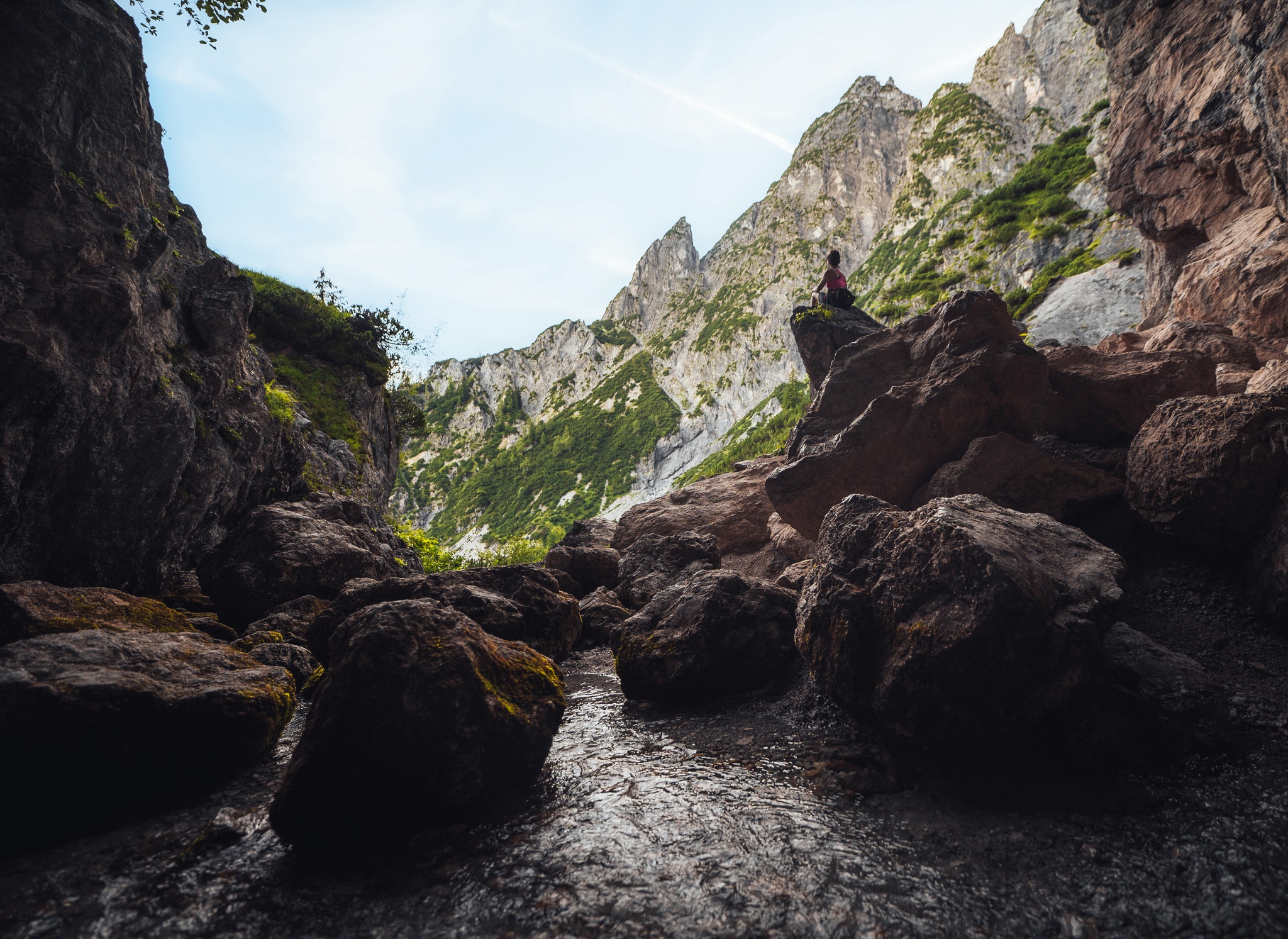 Hotel Der Löwe Ausflüge mit Hund Birnbachloch
