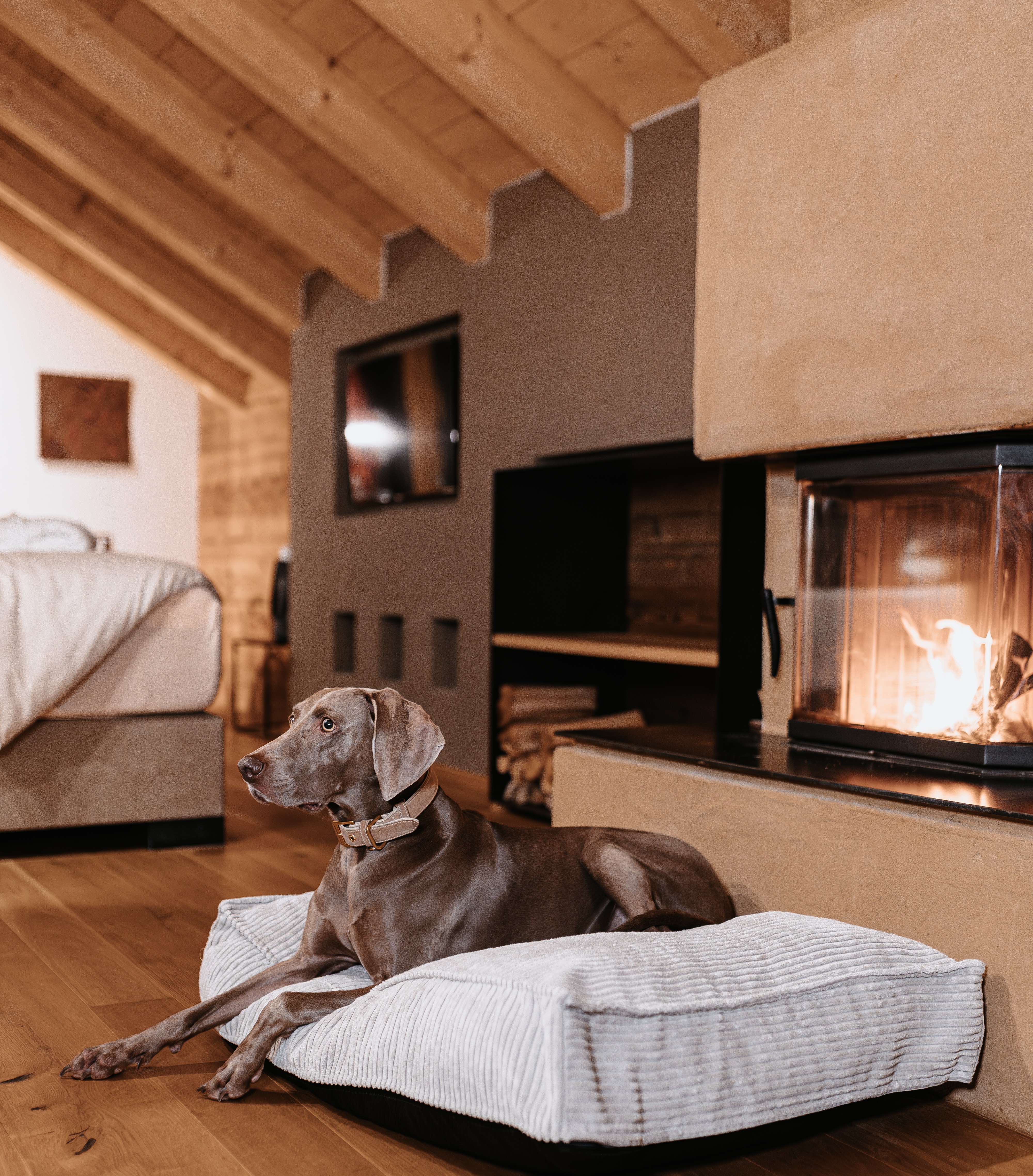 Urlaub-mit-Hund: Hotel Der Löwe Leogang - Urlaub mit Hund