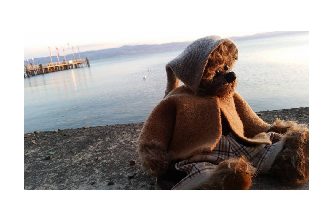 Urlaub-mit-Hund: Teddybärenhotel ®