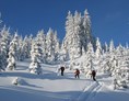 Urlaub-mit-Hund: Winterwanderung - Erzberg Alpin Resort