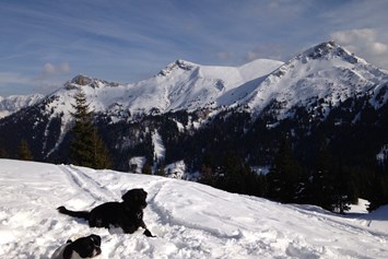 Urlaub-mit-Hund: Hundespuren im Schnee - Erzberg Alpin Resort