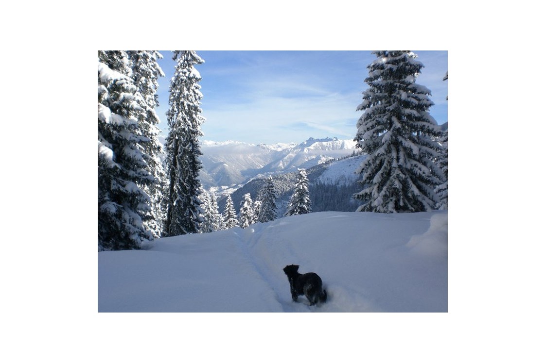 Urlaub-mit-Hund: Herrlicher Wintertag - Erzberg Alpin Resort