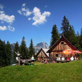 Urlaub-mit-Hund: saftig grüne Almwiesen - Erzberg Alpin Resort