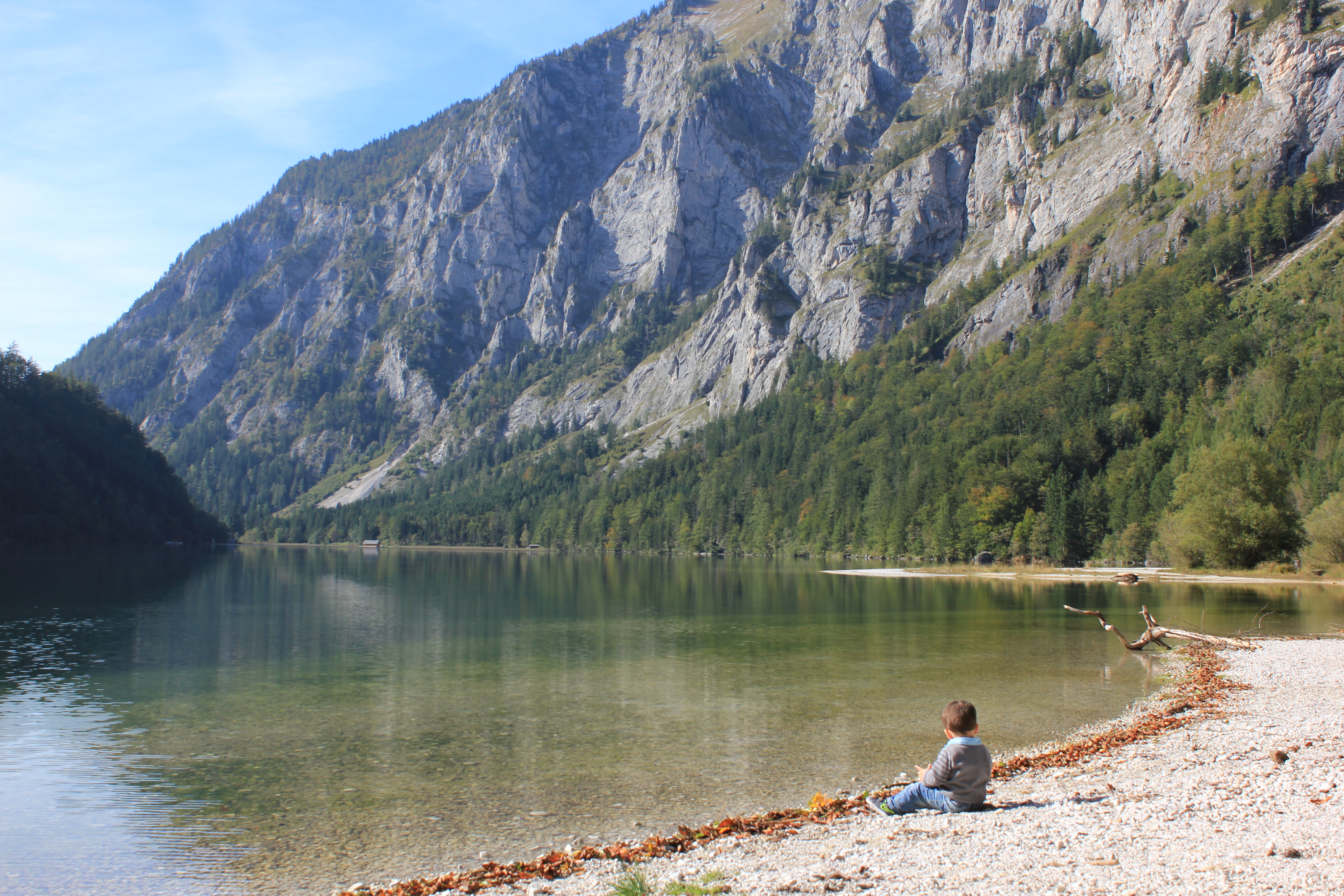 Urlaub-mit-Hund: Strand beim Leopoldsteinersee - Erzberg Alpin Resort
