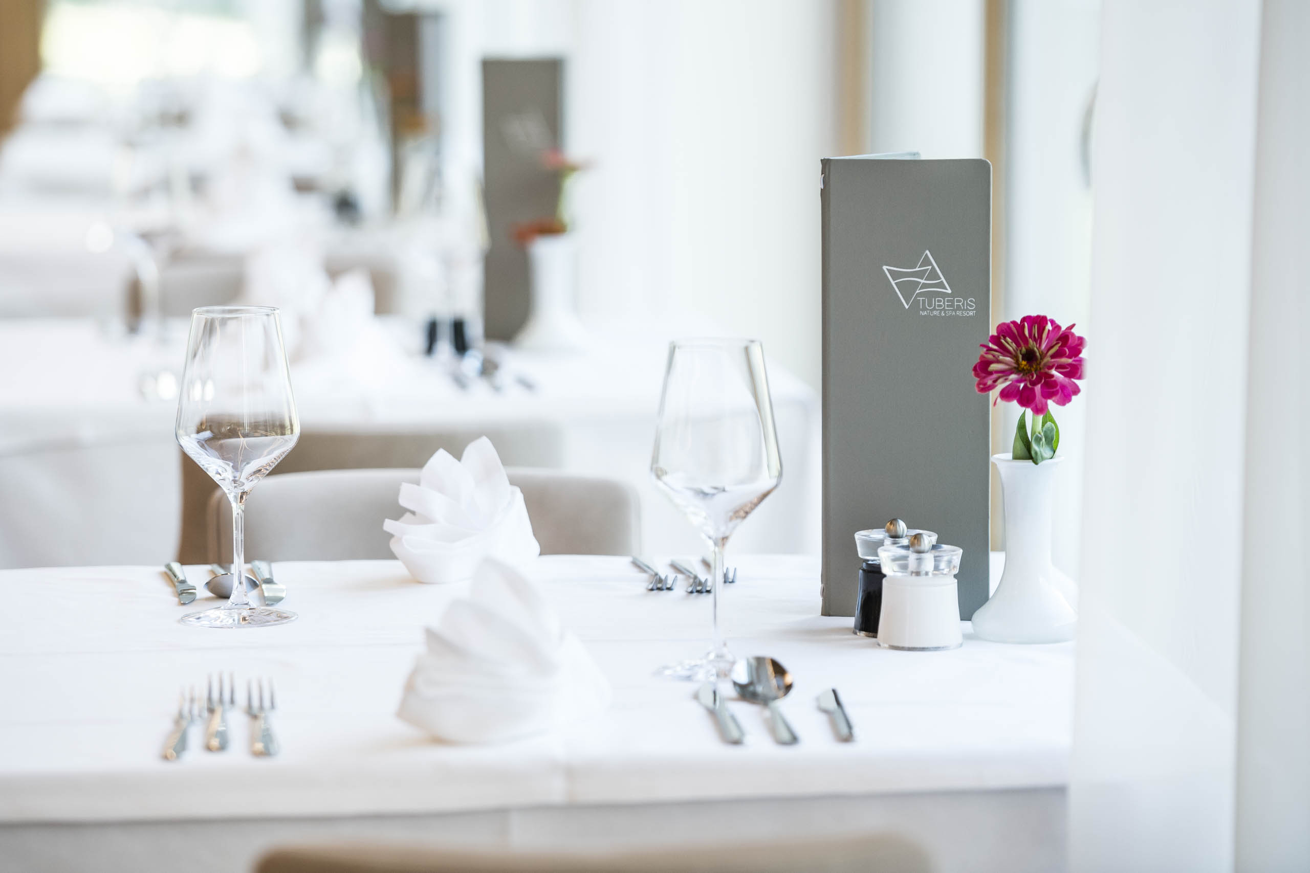 Urlaub-mit-Hund: Tuberis Life Balance & Nature Farm 