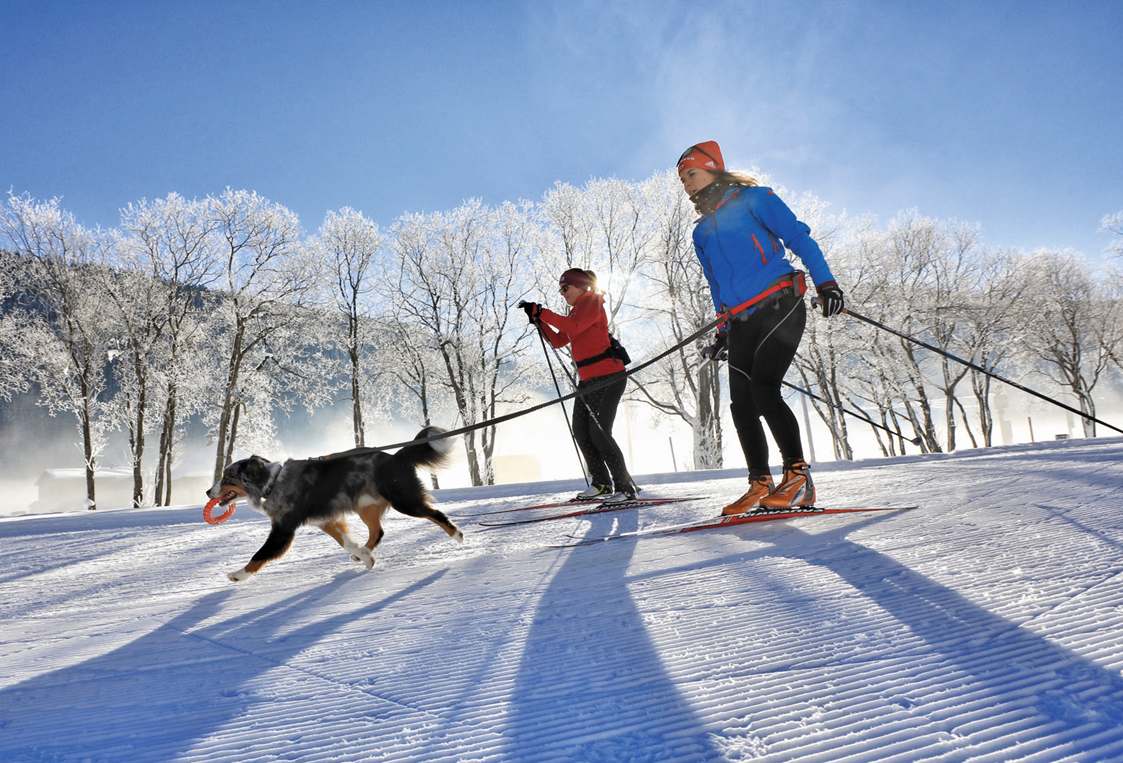 Urlaub-mit-Hund: Hundeloipen Davos Klosters - Hotel Alpina Klosters
