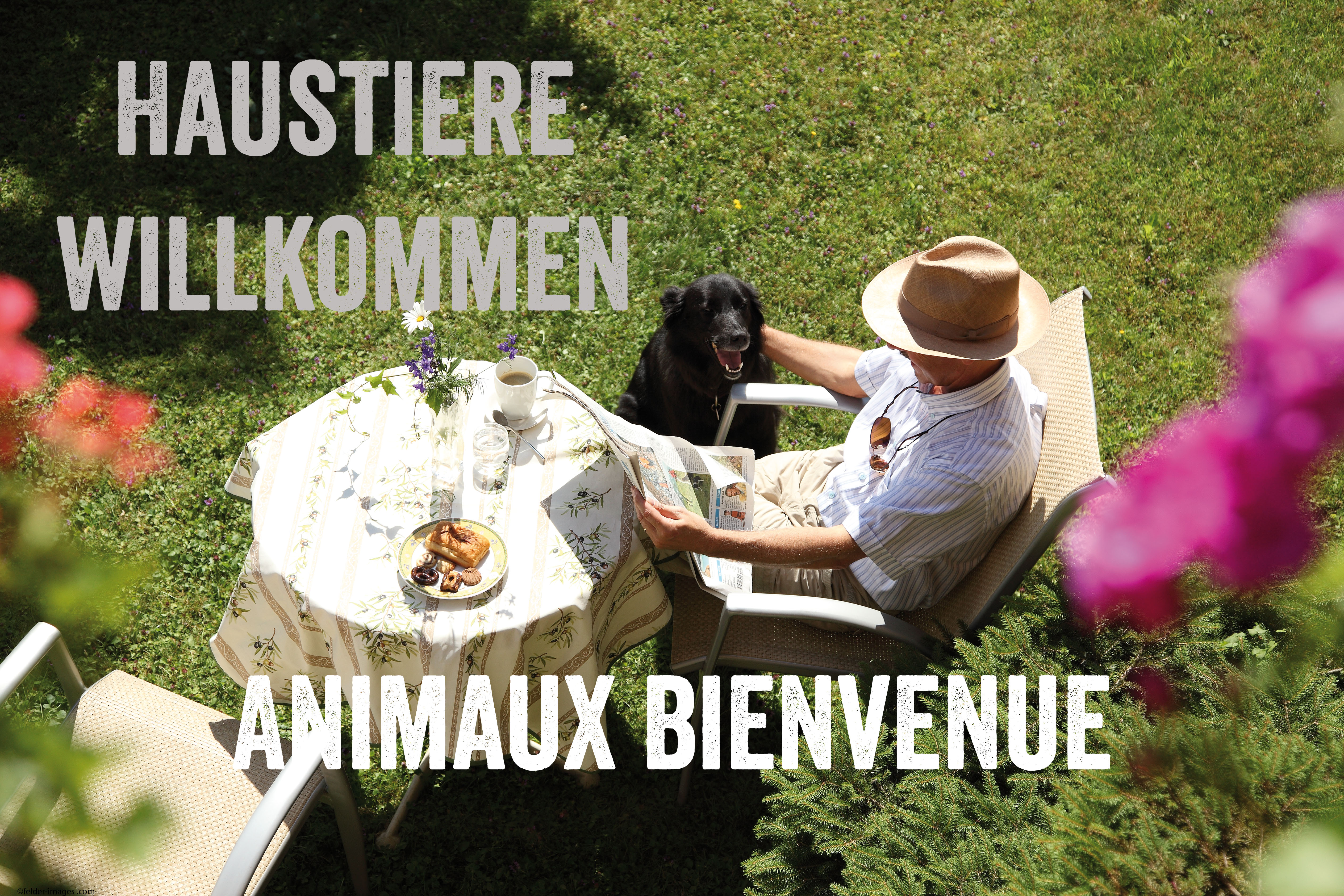 Urlaub-mit-Hund: Garten - Badehotel Salina Maris