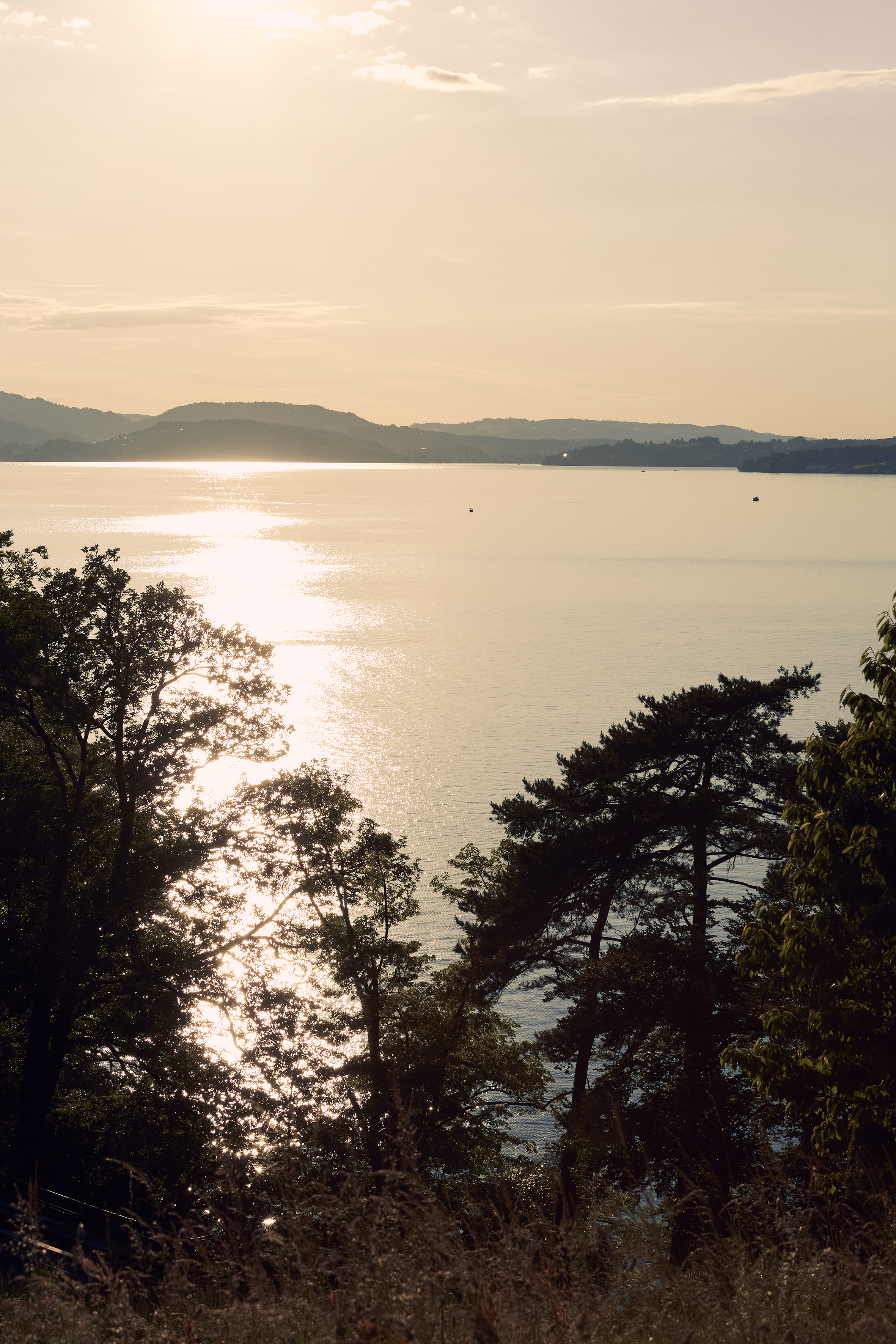 Urlaub-mit-Hund: Aussicht - See- und Seminarhotel FloraAlpina - Haus | Umgebung