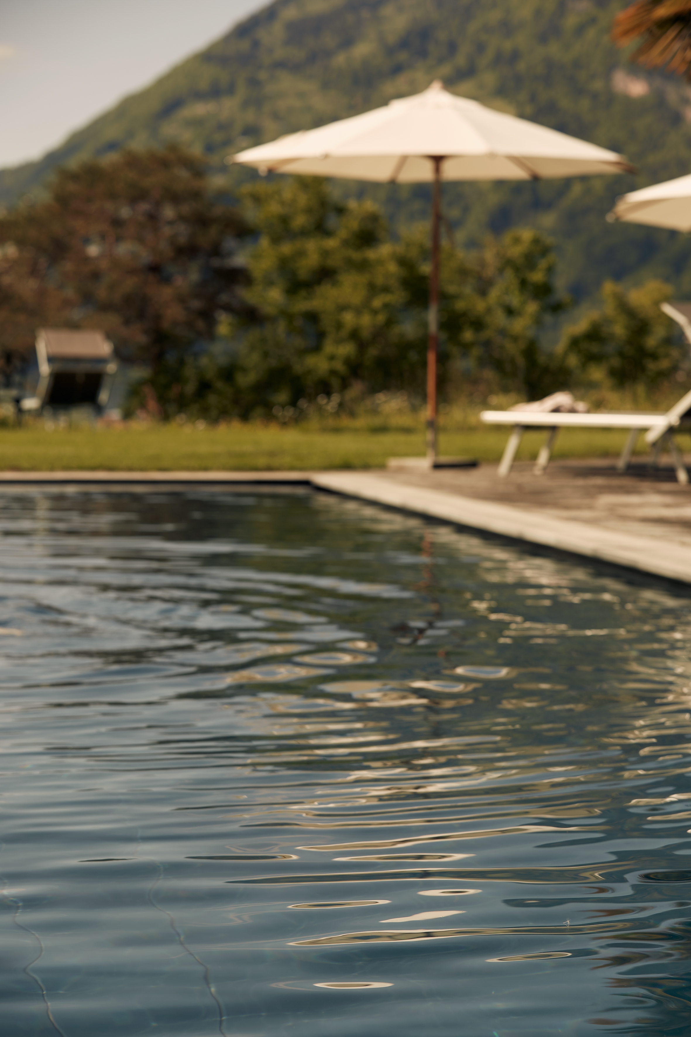 Urlaub-mit-Hund: Pool - See- und Seminarhotel FloraAlpina