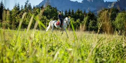 Hundehotel - Mariastein (Mariastein) - Herrliche Berglandschaft und edle Lipizzaner - Bio-Hotel Stanglwirt