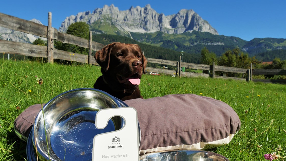 BioHotel Stanglwirt Hotel für den Urlaub mit Hund in Going am Wilden