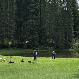 Urlaub-mit-Hund: Hundetraining auf der Wildmoos - Haus Alpengruss