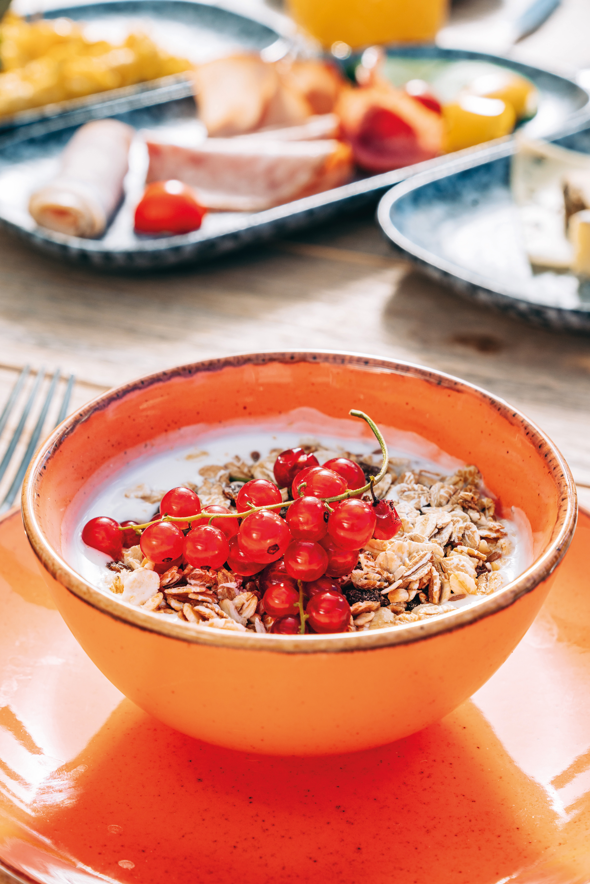 Urlaub-mit-Hund: loisi's Boutiquehotel