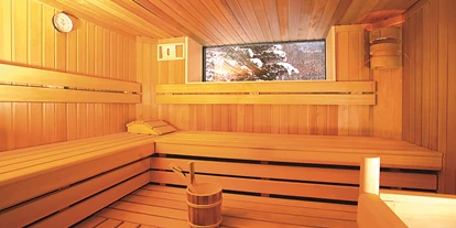 Hundehotel - Dogsitting - Flachau - Sauna im Badehaus - Hotel Schloss Prielau