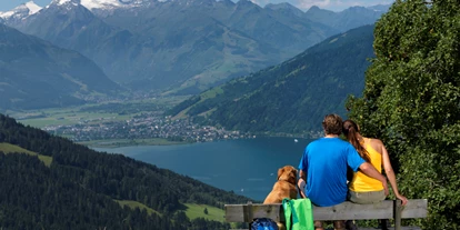 Hundehotel - Dogsitting - Flachau - wunderschöne Wanderung mit Hund in Zell am See - Hotel Schloss Prielau