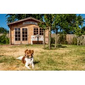 Urlaub-mit-Hund: Hunde-Spa(ß)-Hütte - Pharisäerhof