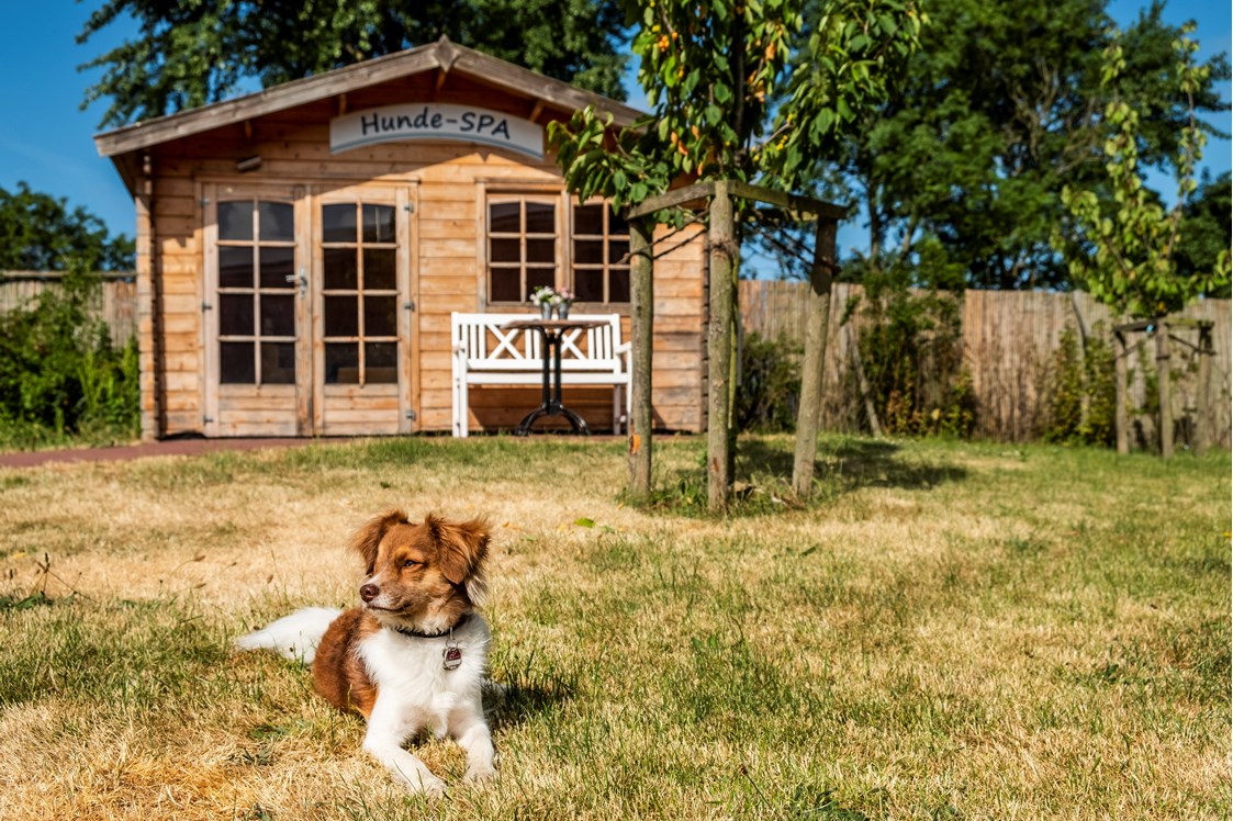 Urlaub-mit-Hund: Hunde-Spa(ß)-Hütte - Pharisäerhof - Hotel, Restaurant & Café