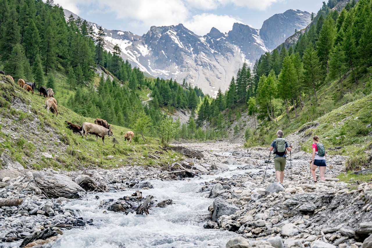 Chalet Silvretta Hotel & Spa Ausflüge mit Hund Märchenweg