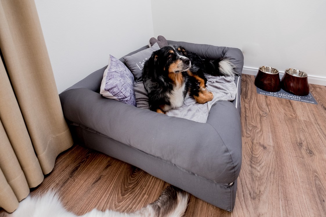 Urlaub-mit-Hund: Hundebett in unserer Hundefreundlichen Suite - Landhaus Schulze