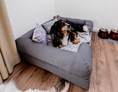 Urlaub-mit-Hund: Hundebett in unserer Hundefreundlichen Suite - Landhaus Schulze