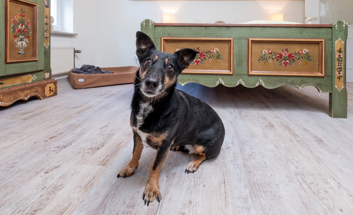 Urlaub-mit-Hund: Hotelhund Rosi  - Landhaus Schulze