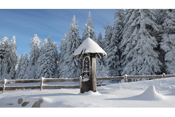 Urlaub-mit-Hund: INNs HOLZ Natur- & Vitalhotel**** Kapelle im Winter - INNs HOLZ Natur- & Vitalhotel****