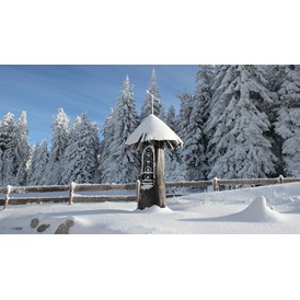 Urlaub-mit-Hund: INNs HOLZ Natur- & Vitalhotel**** Kapelle im Winter - INNs HOLZ Natur- & Vitalhotel****