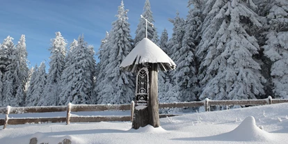 Hundehotel - Bad Leonfelden - INNs HOLZ Natur- & Vitalhotel****s Kapelle im Winter - INNs HOLZ Natur- & Vitalhotel****s