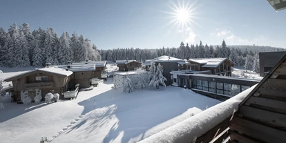 Hundehotel - Bad Leonfelden - INNs HOLZ Natur- & Vitalhotel****s im Winter - INNs HOLZ Natur- & Vitalhotel****s