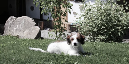 Hundehotel - Bad Leonfelden - INNs HOLZ Natur- & Vitalhotel****s Urlaub mit Hund - INNs HOLZ Natur- & Vitalhotel****s