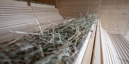 Hundehotel - Bad Leonfelden - INNs HOLZ Natur- & Vitalhotel****s Heusauna - INNs HOLZ Natur- & Vitalhotel****s