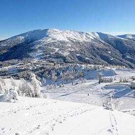 Urlaub-mit-Hund: Das Skigebiet Katschberg ist das perfekte Ziel für alle Wintersportler. - Aparthotel Hutter Katschberg