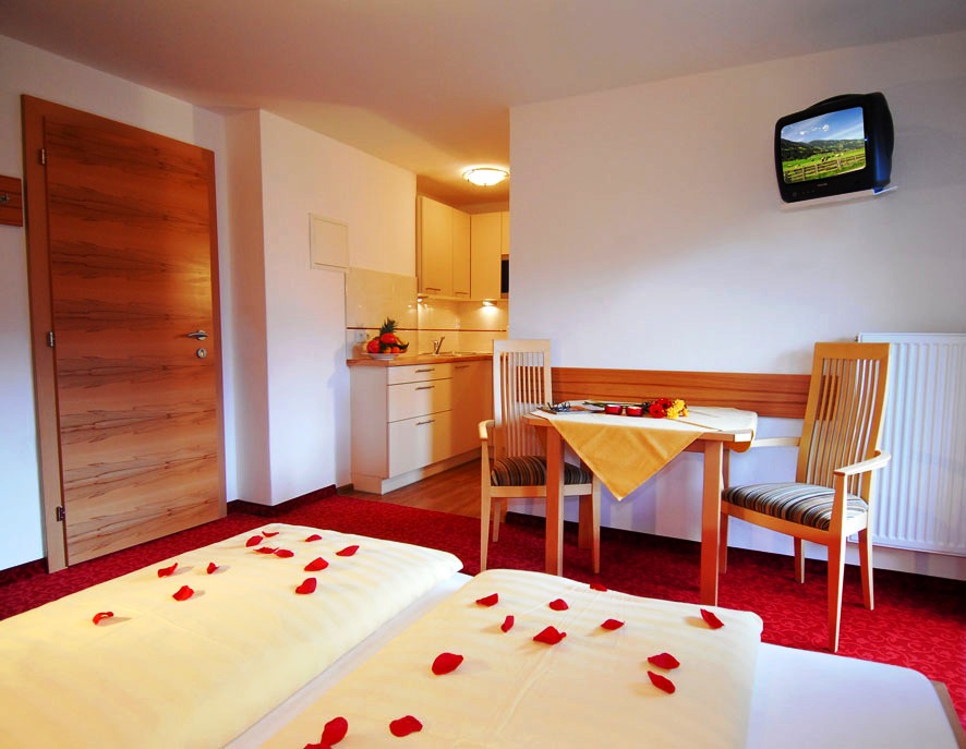 Hundehotel - WLAN - Zillertal - Studio Finkenberg - Apart Hotel Austria