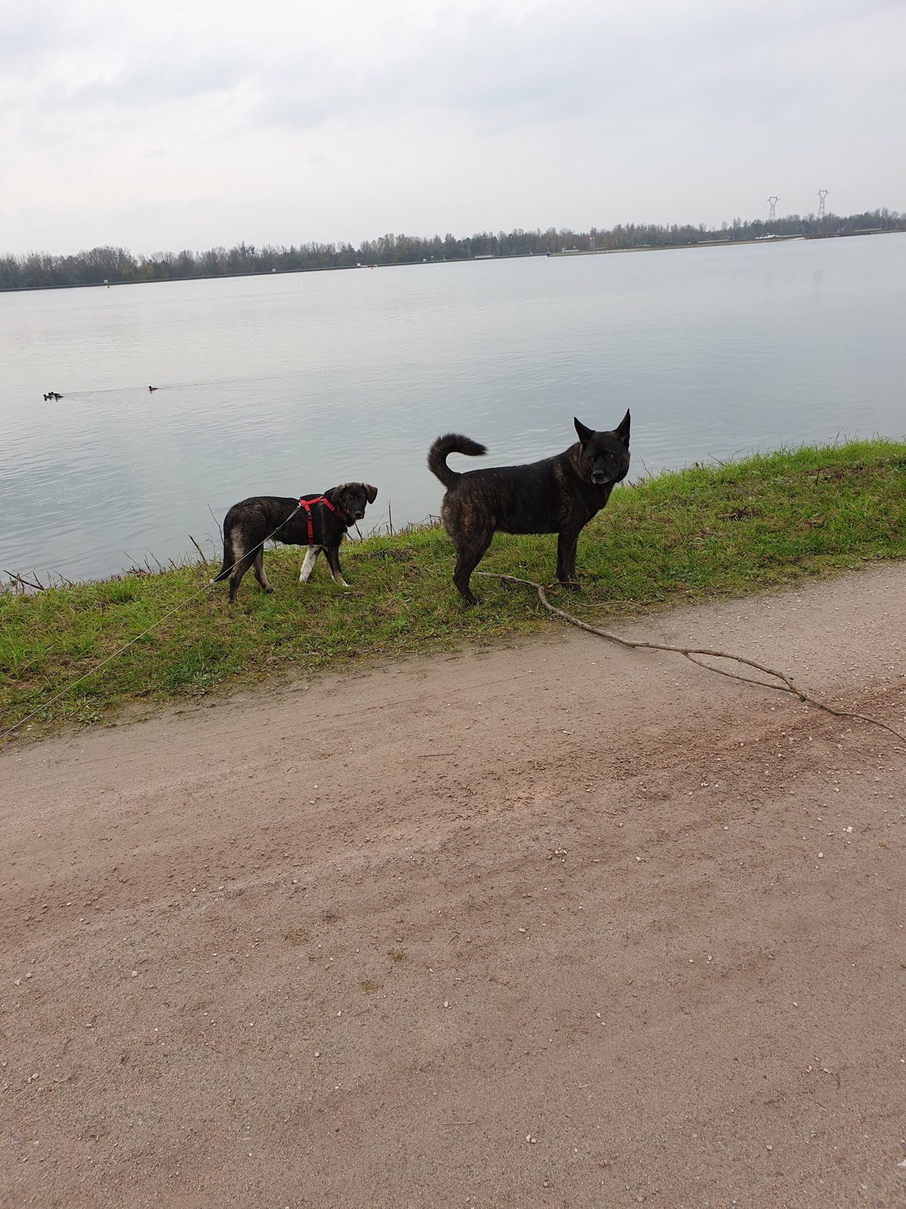 Parkhotel Prinz Carl Ausflüge mit Hund Spaziergang am Fluss