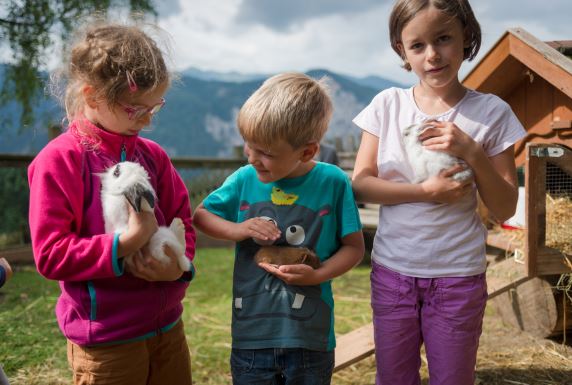 Urlaub-mit-Hund: Bergbauernhof Pension Irxner - Haus | Umgebung