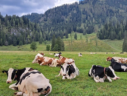 Hundehotel - Tauplitz - Natur - pur - Bergbauernhof Pension Irxner