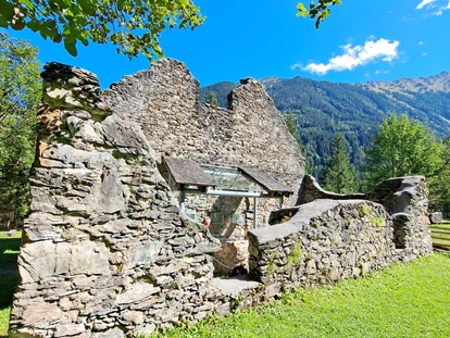 Hundehotel - Tauplitz - Ausflug zur Schmelzofen-Runde in Rohrmoos/Obertal - Bergbauernhof Pension Irxner