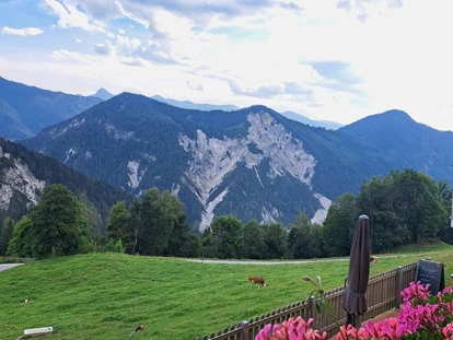 Hundehotel - Tauplitz - Aussicht vom Balkon der Ferienwohnung - Bergbauernhof Pension Irxner