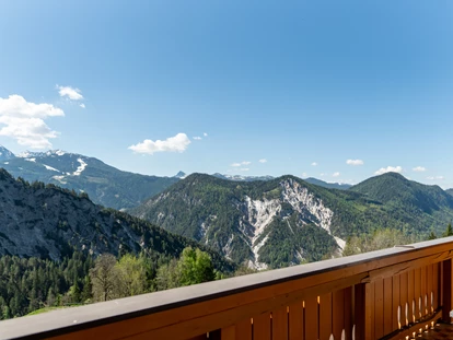 Hundehotel - Tauplitz - Blick vom Balkon oder der Terrasse am Irxnerhof.  - Bergbauernhof Pension Irxner